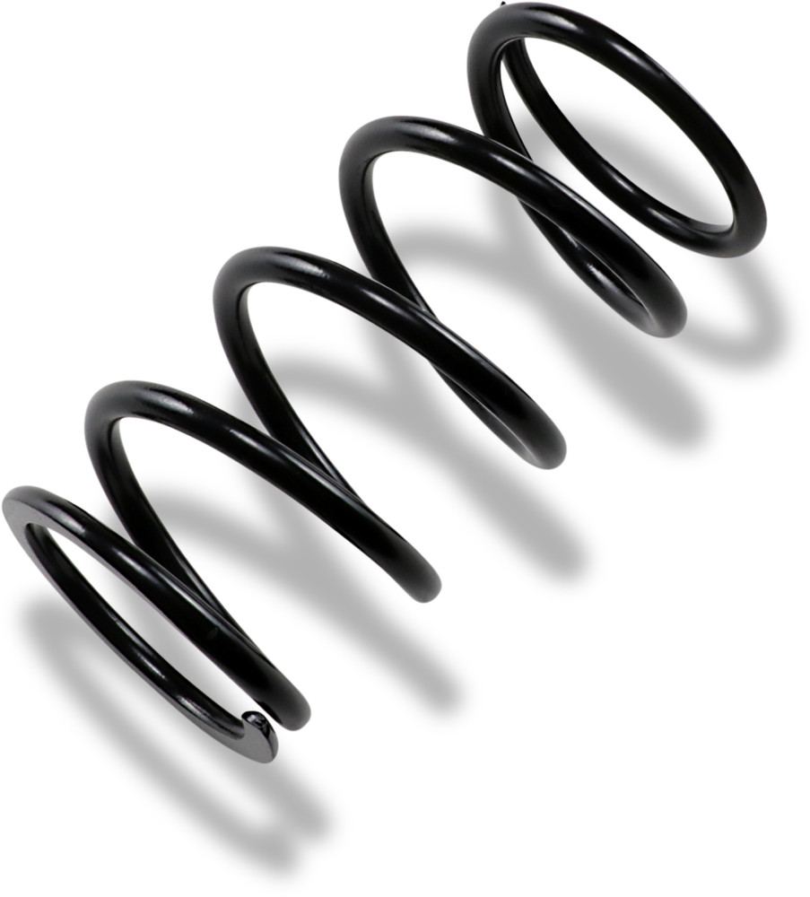 Epi Primary Clutch Spring Ps4