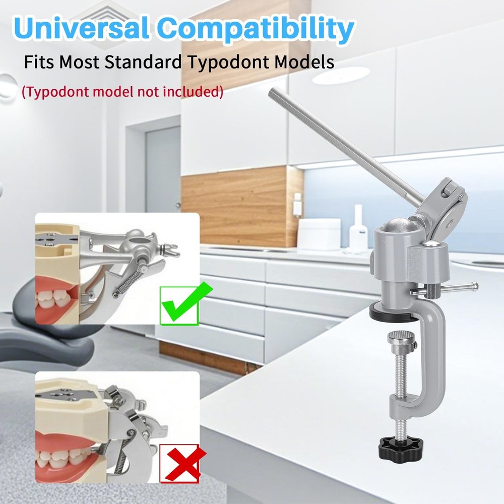Typodont Teeth Model Mount, Pole Teeth Model Training Mount Fixed on Desk Tra...