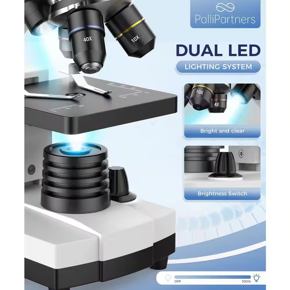 Compound Microscope 100X-2000X High-Power Biological Microscope for Students wit
