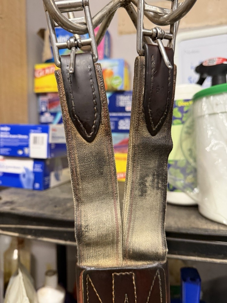 Edgewood Hunter Jumper Girth Size 52