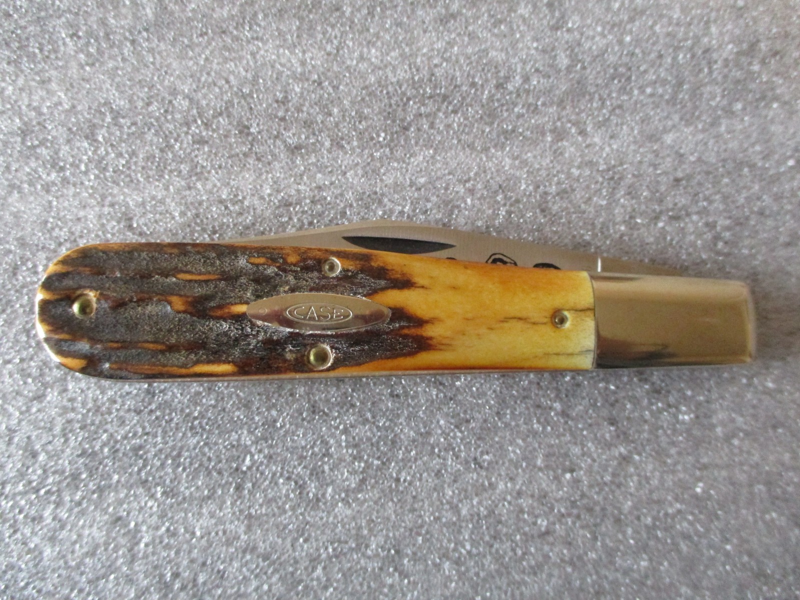 VINTAGE CASE XX 5143 SSP LTD PRODUCTION FOUNDERS STAG KNIFE in DISPLAY CASE