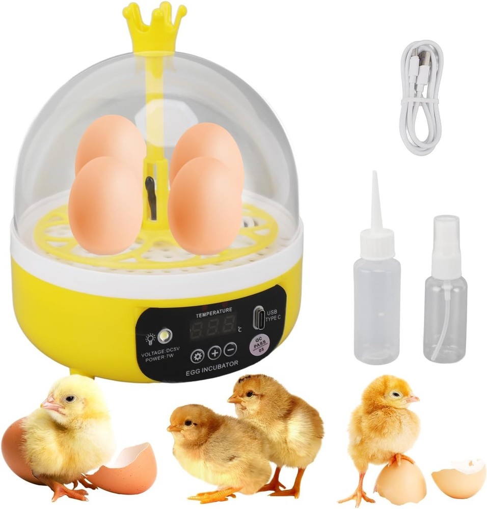4 Eggs Mini Incubator with Transparent Lid,7W Automatic Temperature Humidity ...