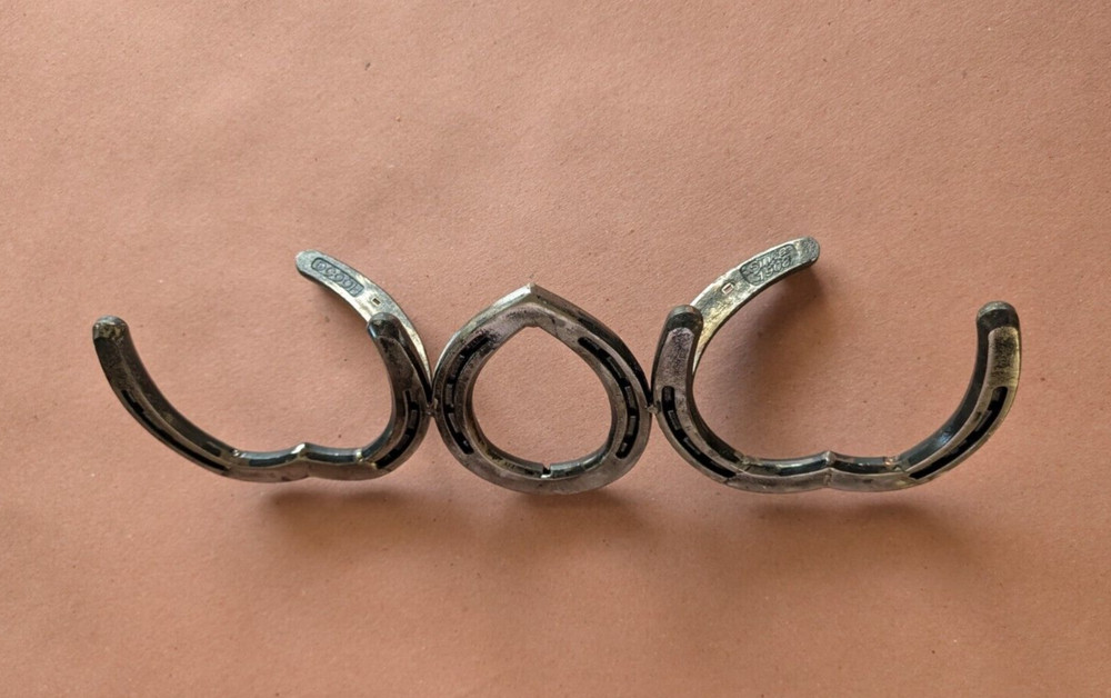 Horse Shoe "WOW" Art Work