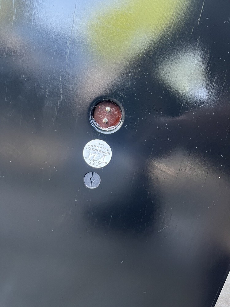 leak sandwich speakers