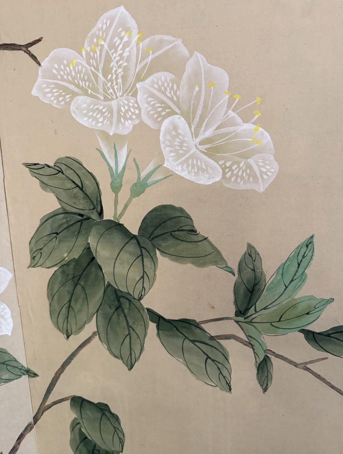 Magnificent Asian Hand Painted Magnolia & Bird Signed Four Panel Folding Screen