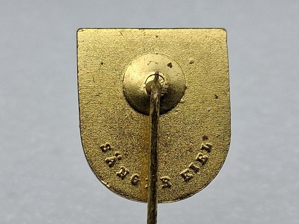 Stanavforlant Nato Pin