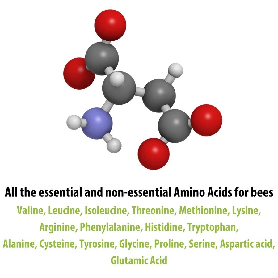 Hive Alive Fondant Bee Food Supplement - With Vitamins & Amino Acids Fresh feed!