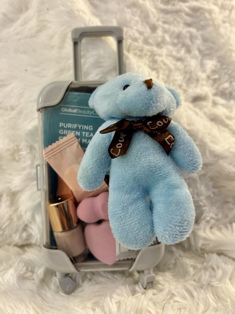 Large Mini Luggage Storage Container