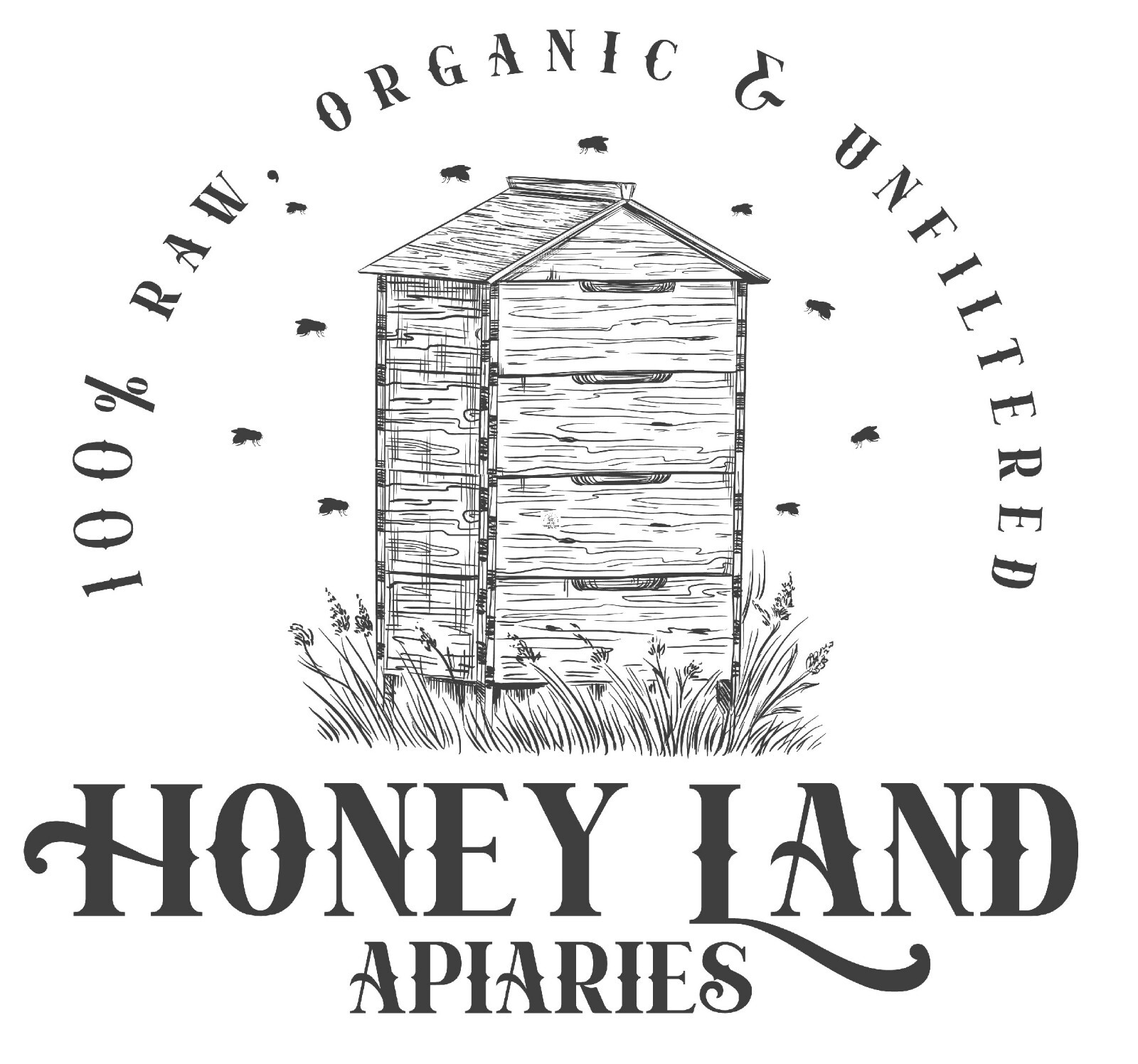 Raw Chunk Honey-1 lb (454g) - 100% Wildflower Local Organic Unfiltered GLASS JAR