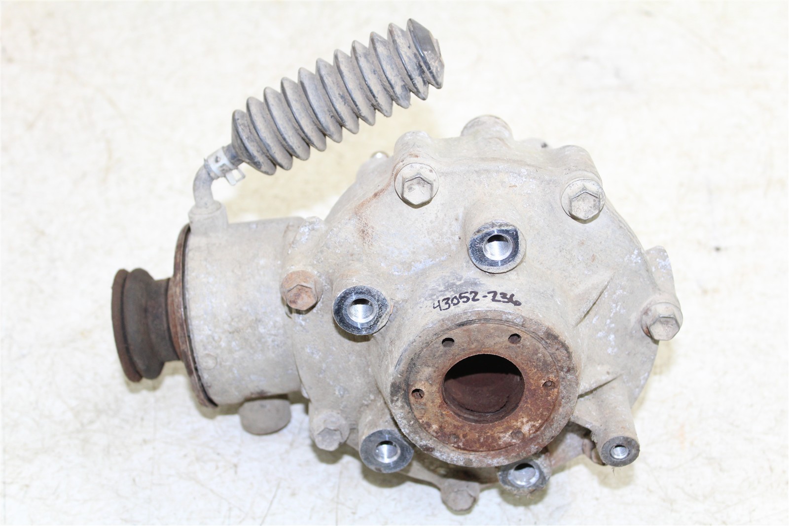 2005 Suzuki Ozark 250 Rear Differential