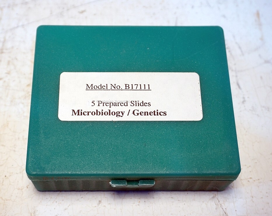 Prepared Microscope Slide Set, Microbiology/Genetics, 5 Slides, New!