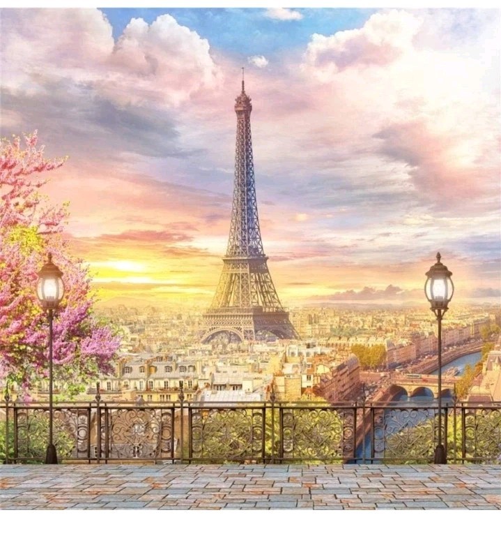 AOFOTO 10ftx10ft Eiffel Tower Landscape Vinyl Backdrop