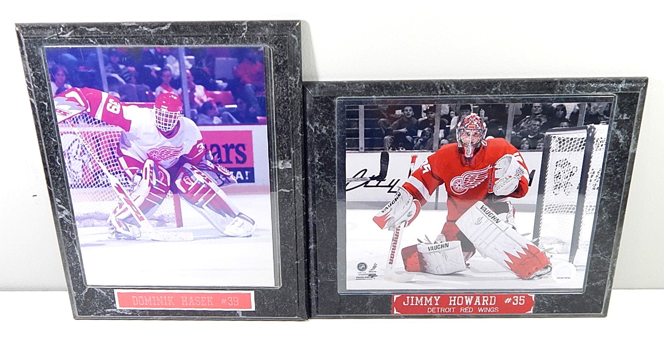 Detroit Collectibles Lot Red Wings Tigers Bobbleheads Balls Puck Stick Stubs ++