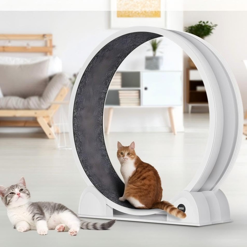 45" Large Cat Exercise Wheel with Pedometer - Indoor Fitness for Weight Loss