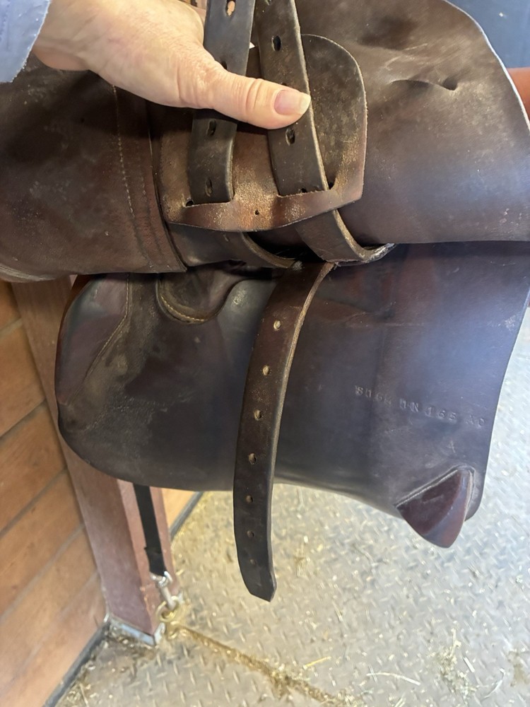 16.5 Antares Altaire Saddle