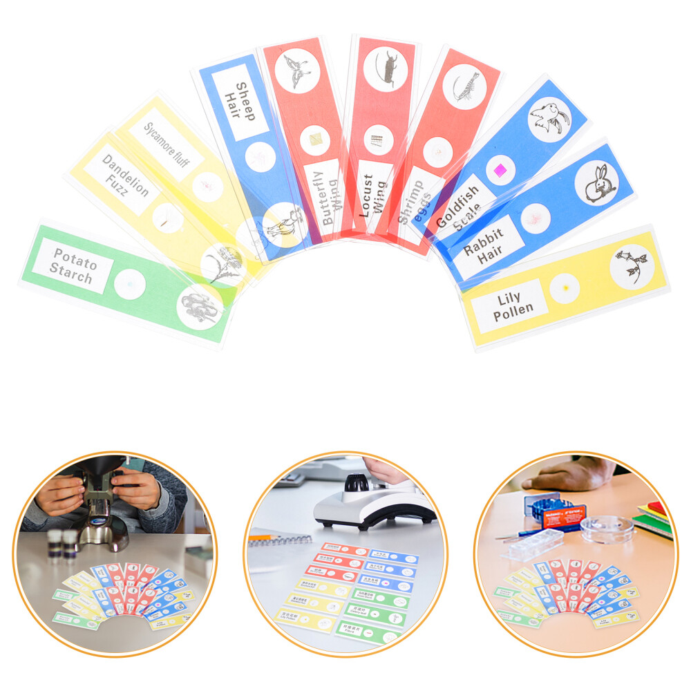 36pcs Microscope Sample Slide Plant Sample Specimen Kid Science Toy