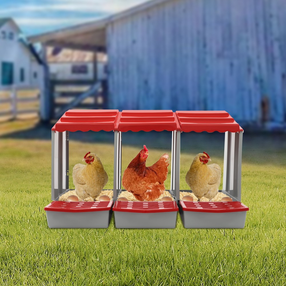 3-Compartment Chicken Nesting Box for Efficient Egg Laying and Easy Collection