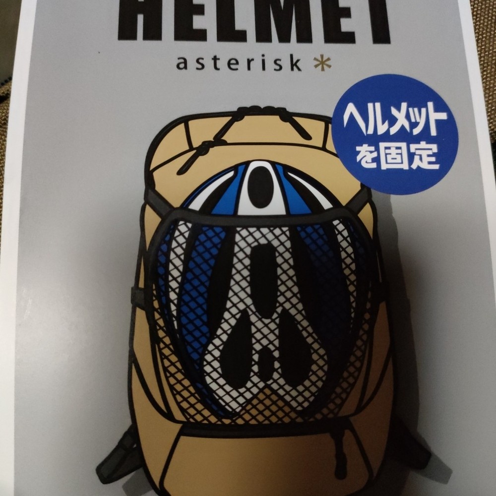 Asterisk Backpack Used From Japan