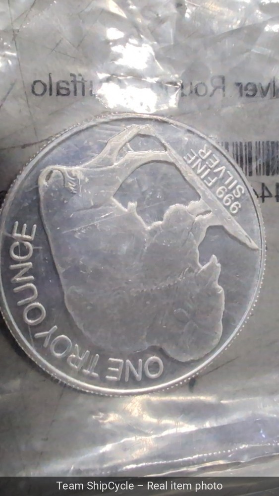 1 oz Silver Round Buffalo G1N