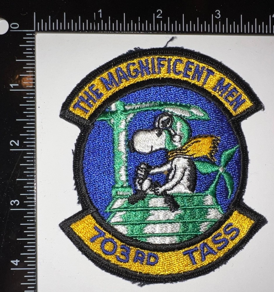 USAF US Air Force 703rd TASS Tactical Air Support Squadron Patch