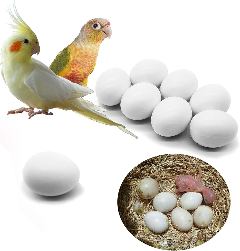 8 Pcs Solid Parrot Plastic Eggs Hatching Eggs Green Cheek, Lorikeet&Ringneck Etc