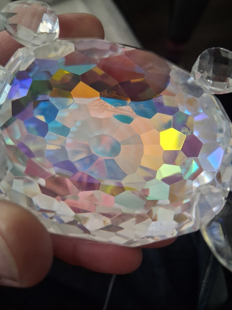Real Crystal Turtle