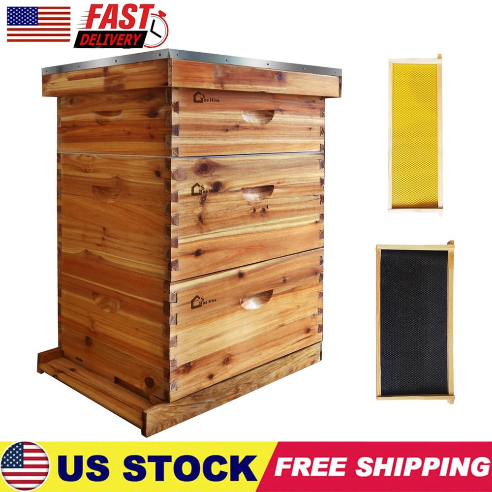 10-Frame Complete Beehive Frame Kit Wax Coated w/ 2 Deep Box 1 Medium Bee Box