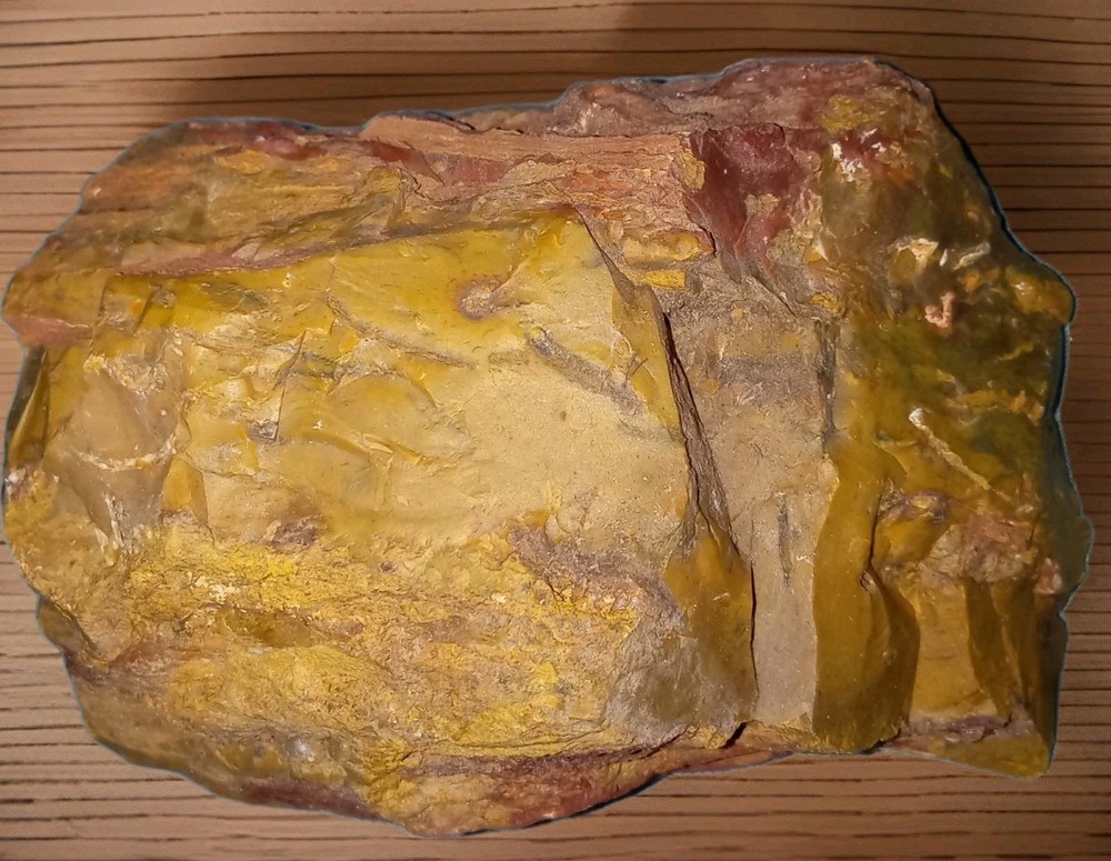 Petrified Wood w Bark Rough 342g