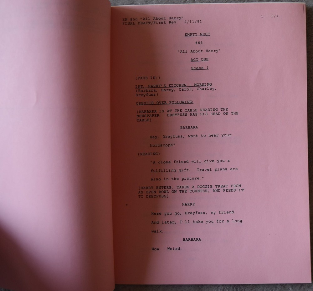 1991 Empty Nest (All About Harry) Original Screenplay Script