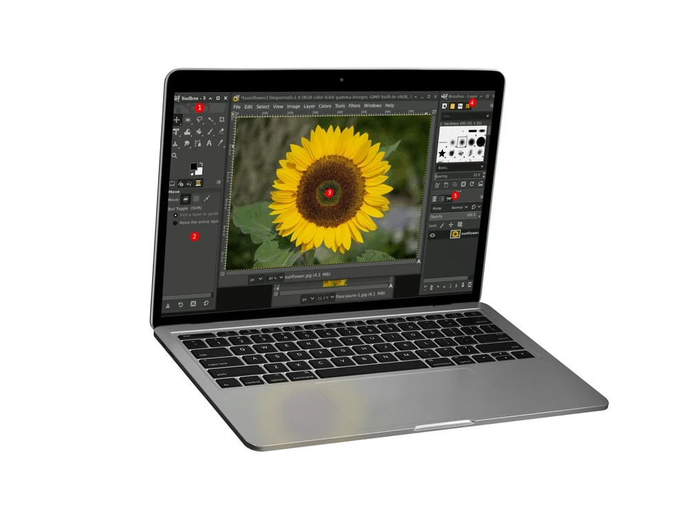 GIMP 3 Pro Graphic Design 2026 - Photo Editing Software for Windows & MacOS