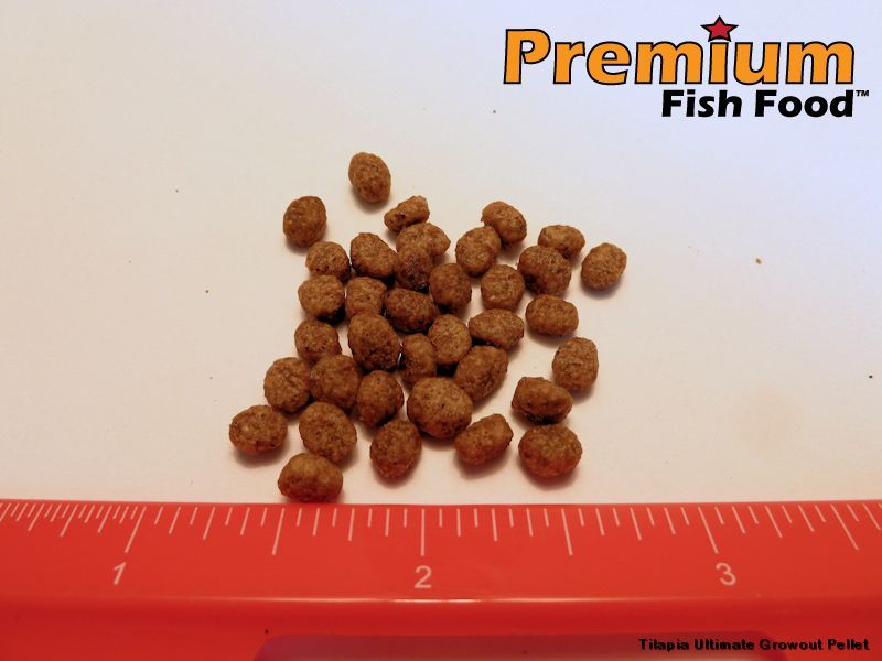 Premium Ultimate Growout Pellet Tilapia Food 10 lb LAND ANIMAL FREE aquaponics