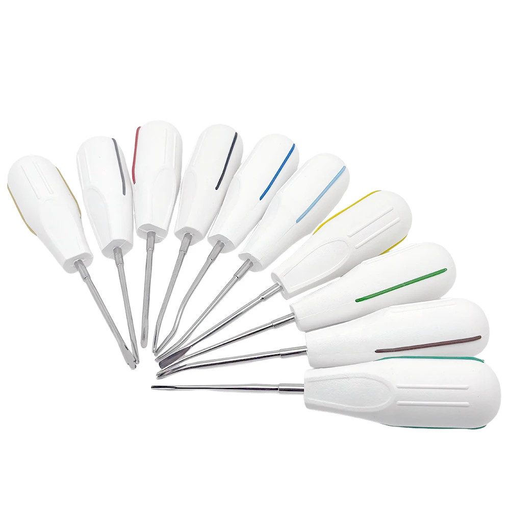 10Pcs/set Dental Luxating Lift Curved Root Elevator Kit Dentistry Tools