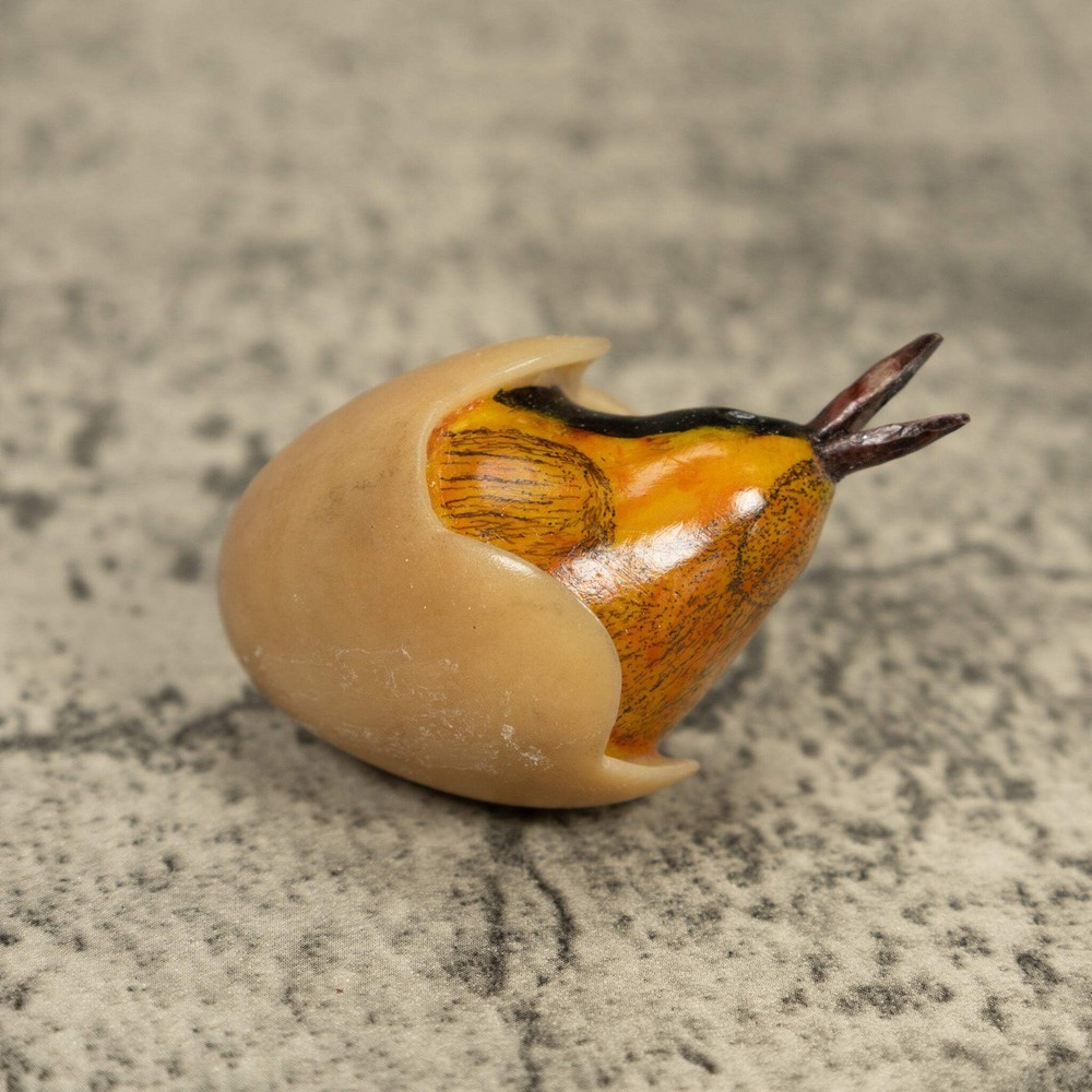 Orange Seed Eater Bird Emerging From Egg Tagua Carving
