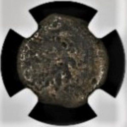 Valerius Gratus: Roman Prefect of Judaea (15-26 CE) - NGC Slab (MG)