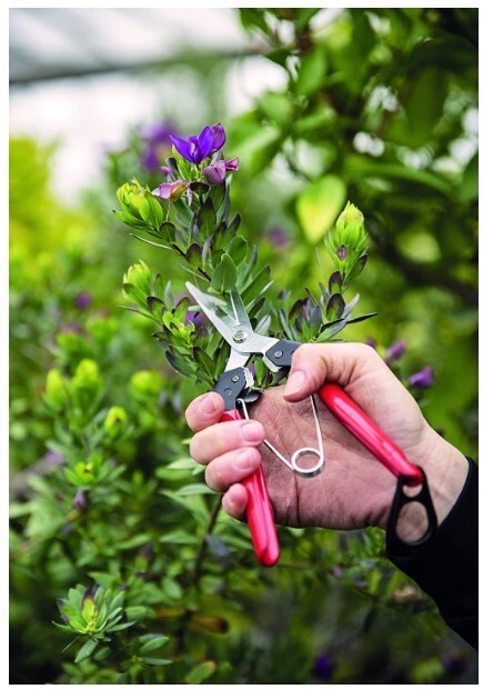Felco 322 Picking & Trimming snips with steel handles,straight 190mm blade