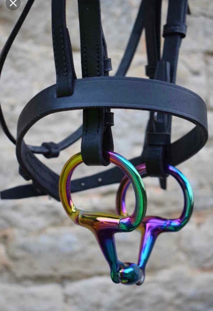 Rainbow Multicolor EGGBUTT Snaffle Horse Bit Lozenge Fat Double Joint Oval Link