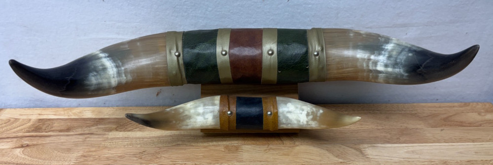 Mounted Steer Bull Horns Set