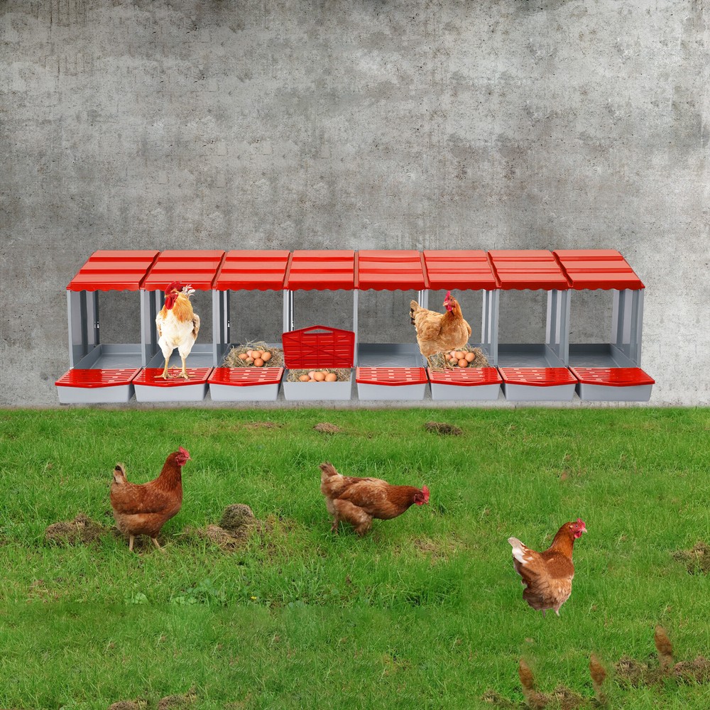 Modern 8-Compartment Chicken Nesting Boxes for Comfortable Egg Laying