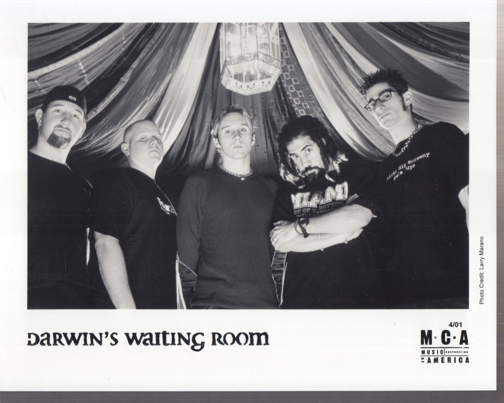 darwin's waiting room  press kit  for orphan orphan  2001