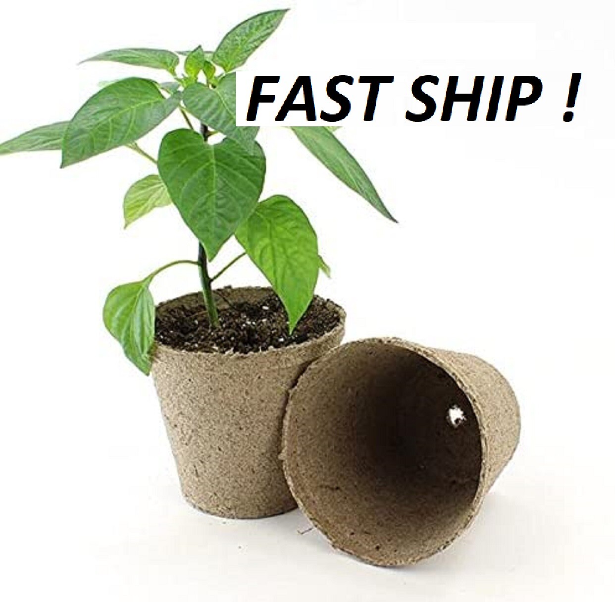 Jiffy 4 Inch Round Peat Pots BIODEGRADABLE Seed Starting Growing FAST FAST SHIP