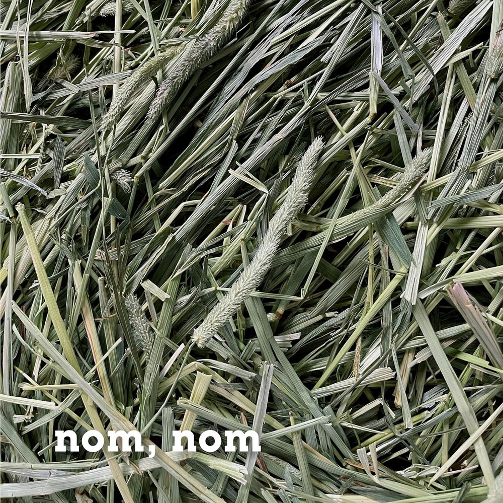 Bunny Honey Timothy Hay 5LB