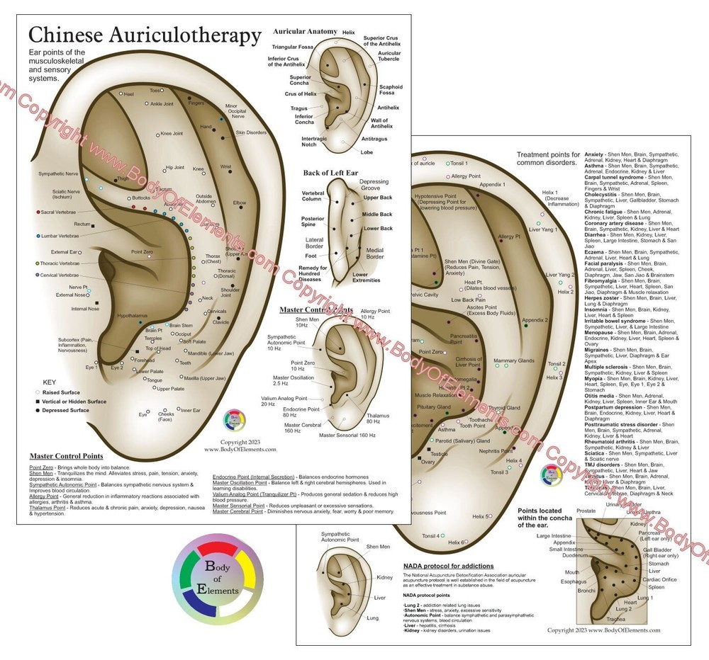 3 Acupuncture Student Chart Set Auriculotherapy Five Elements & Pulse Diagnosis