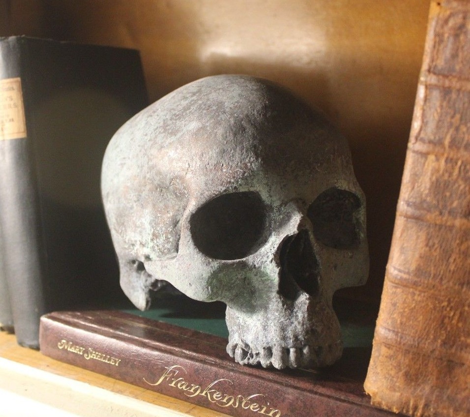 Human Skull Anatomical Medical Death Oddity Theater Doctor Funeral Postmortem