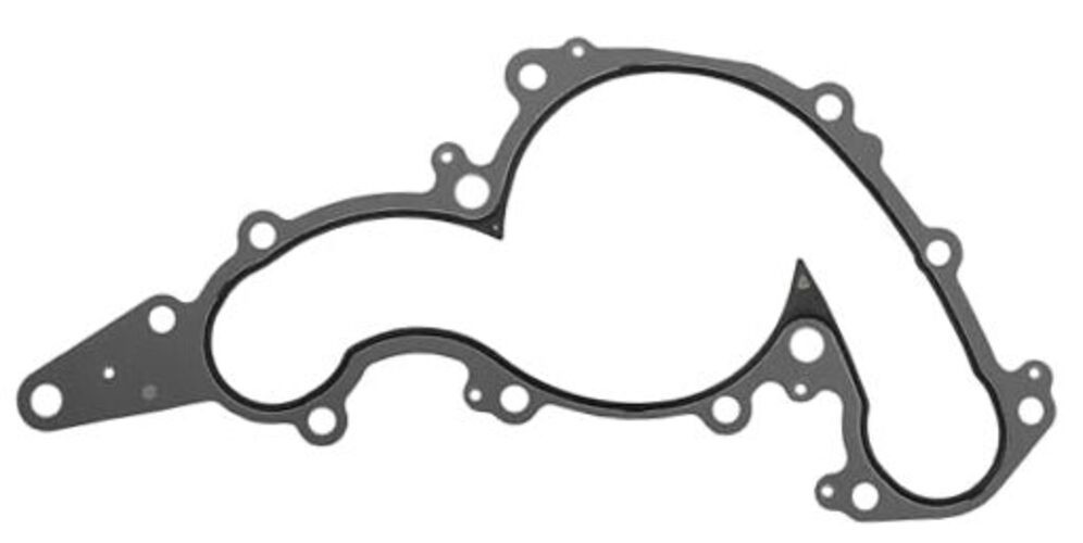 039-4166 Water Pump Gasket