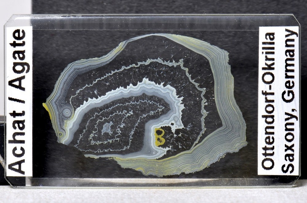 AGATE ACHAT Ottendorf Okrilla STUNNING !! Germany thin section microscope slide