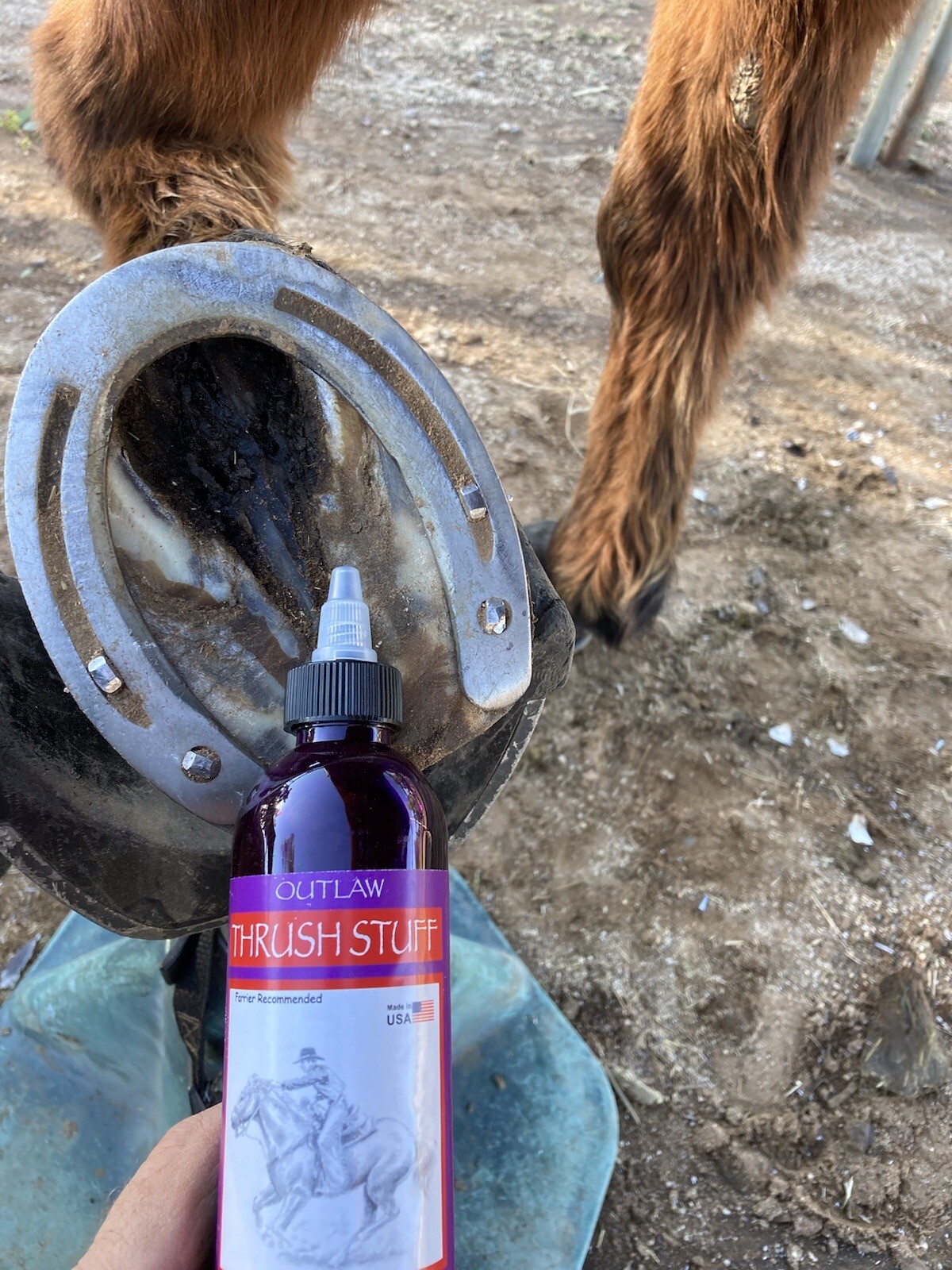 NEW 3 PACK!! Outlaw Thrush Stuff Treatment For Horses Hoofs And Abscesses Care