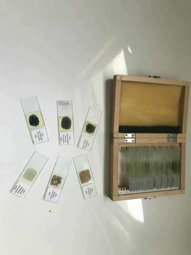 24PCS Geology Microscope Prepared Slides Mineral Thin Section Slides