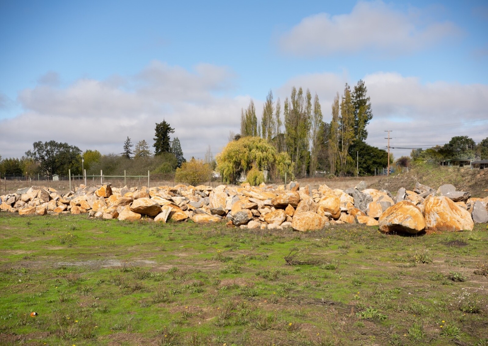 Landscaping Boulders for Sale