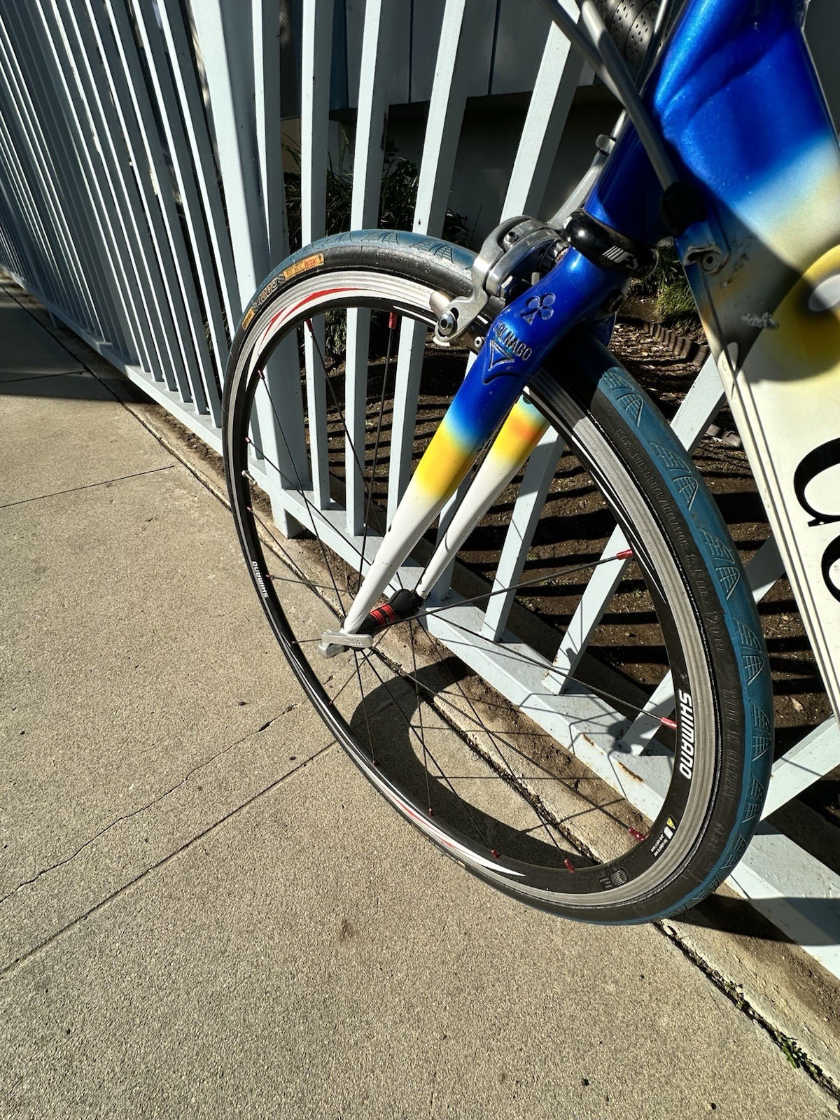 Colnago Mapei Vintage Racing Bicycle