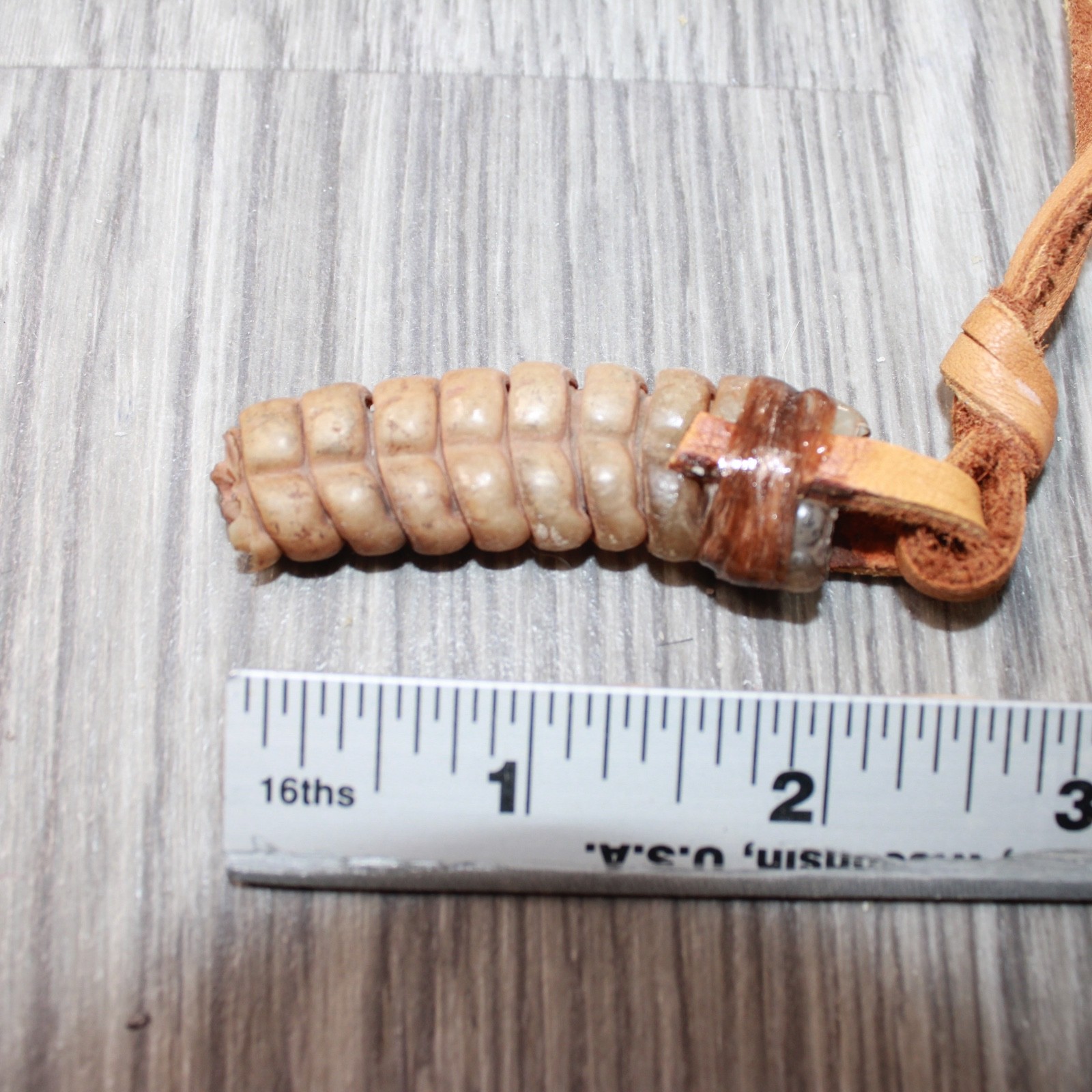 Very Large Rattlesnake Rattle Necklace #6663 Mountain Man Necklace